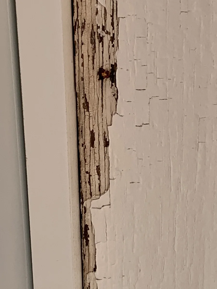 Close view of a painted exterior surface